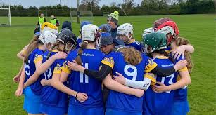 Image result for St Rita`s Camogie Club