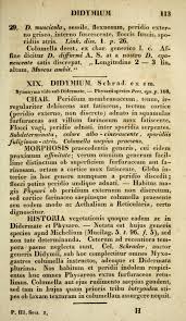 Attēlu rezultāti vaicājumam “Didymium proximum”