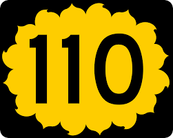 Image result for 110
