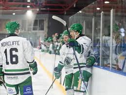 Image result for Basingstoke Bison Ice Hockey Club