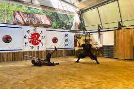 Image result for Hertfordshire Iga Ryu Ninjutsu