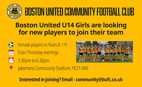 Image result for United in the Community Boston Girls Football