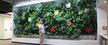 Image result for living wall