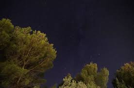 Attēlu rezultāti vaicājumam “Cygnus”