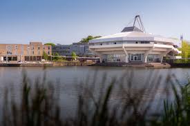 Image result for University of York