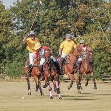 Image result for Cambridge and Newmarket Polo Club