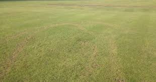 Image result for Knaphill Cricket Club