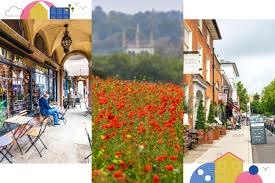 Image result for Surrey Heath Slammers