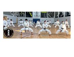 Image result for Charnwood Shoto Ryu Karate kai