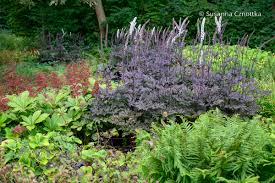 Image result for Silberkerze