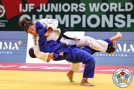 Image result for Guerrero Martial Arts