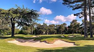 Image result for Feltwell Golf Club