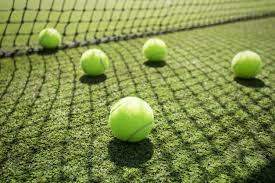 Image result for Sevenoaks Lawn Tennis Club