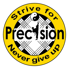 Image result for Precision Martial Arts