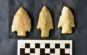 Image result for SEM micrographs of Novaculite Arkansas