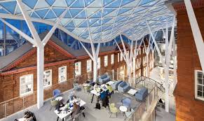 Image result for University of Sheffield Ultimate- Phat 'eds