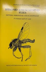 Attēlu rezultāti vaicājumam “Bibionidae”