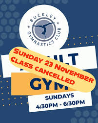 Image result for Buckley Girls Gymnastic Club