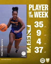 Image result for Worcester Wolves Basketball Club