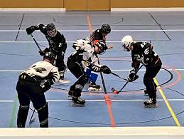 Image result for Godalming In-Line Hockey Club