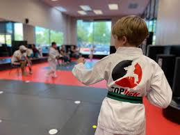 Image result for TopKick Martial Arts Center Leesburg
