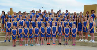 Image result for Astley Netball Club