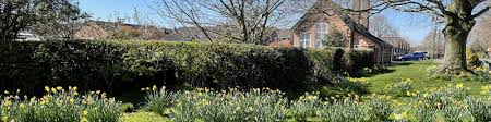 Image result for Wiggington Bowling Club
