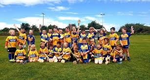 Image result for Erin`s Own Gaelic Athletic & Social Club