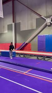 Image result for Hull High Flyers Gymnastics Club