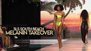 Image result for south beach models