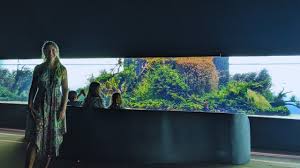 Znalezione obrazy dla zapytania takashi amano%