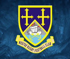 Image result for North Shields Rfc