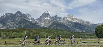 Image result for 34 Nomads Cycling Club