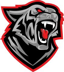 Image result for Predators Fc