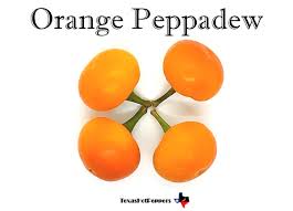 Afbeeldingsresultaat voor peppadew hot pepper