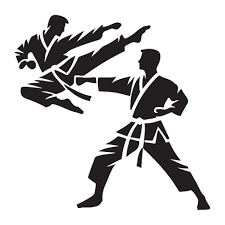 Image result for Action Karate