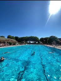 Image result for Hitchin Swimming Club