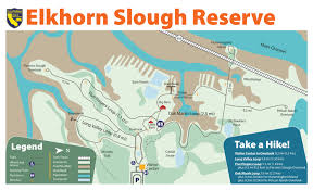 Image result for Slough