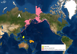 Image result for Somniosus pacificus