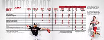 Image result for Cardinals Badminton Club