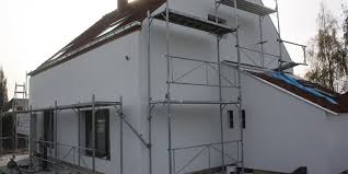 Image result for kaleien