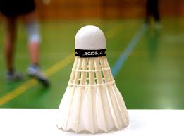 Image result for Leighton Buzzard Junior Badminton Club