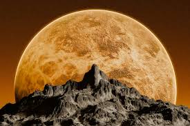 Image result for venus