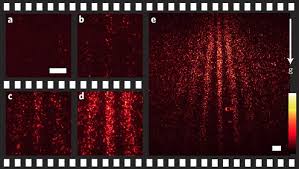 Image result for interference patterns