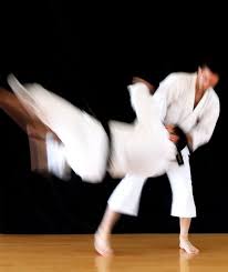 Image result for Martial Arts London