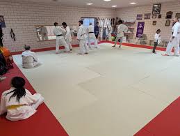 Image result for Redcar Judo Club, Cleveland