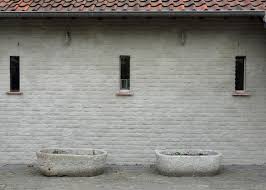 Image result for kaleien