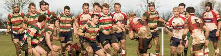 Image result for Wellingborough Rfc