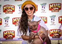 Image result for ugliest dog