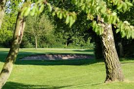 Image result for Alfreton Golf Club